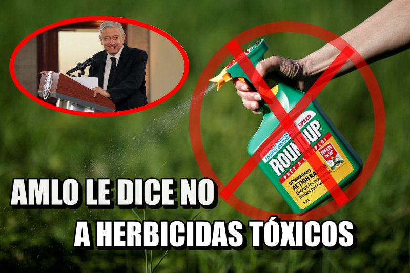Frena AMLO la entrada a México de mil toneladas de herbicidas tóxicos